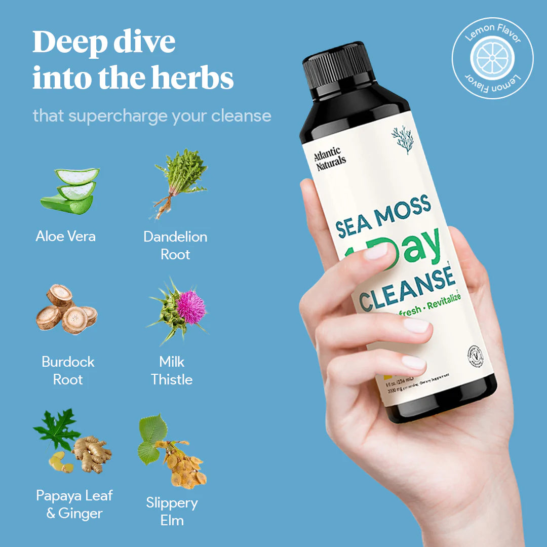 Sea Moss 1 Day Cleanse | Lemon Flavor