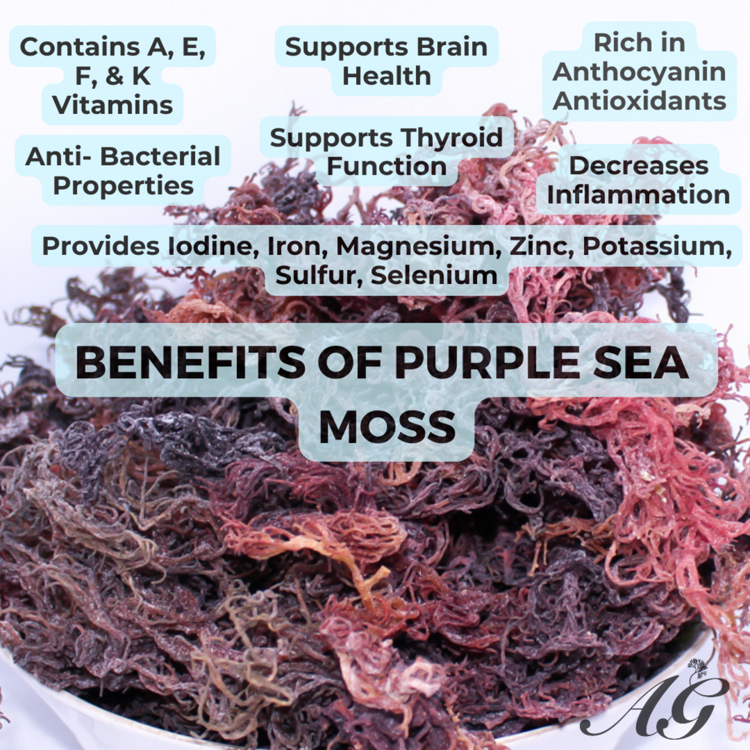 Purple Sea Moss