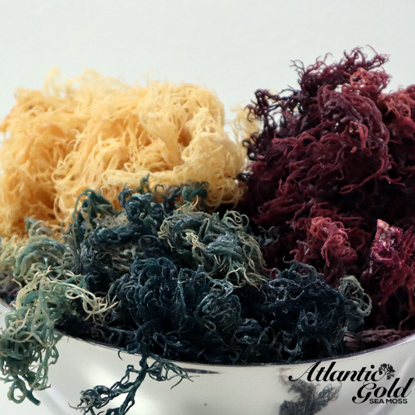 Trifecta Sea Moss - Gold, Purple & Green