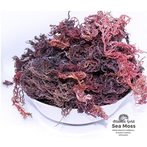 Purple Sea Moss