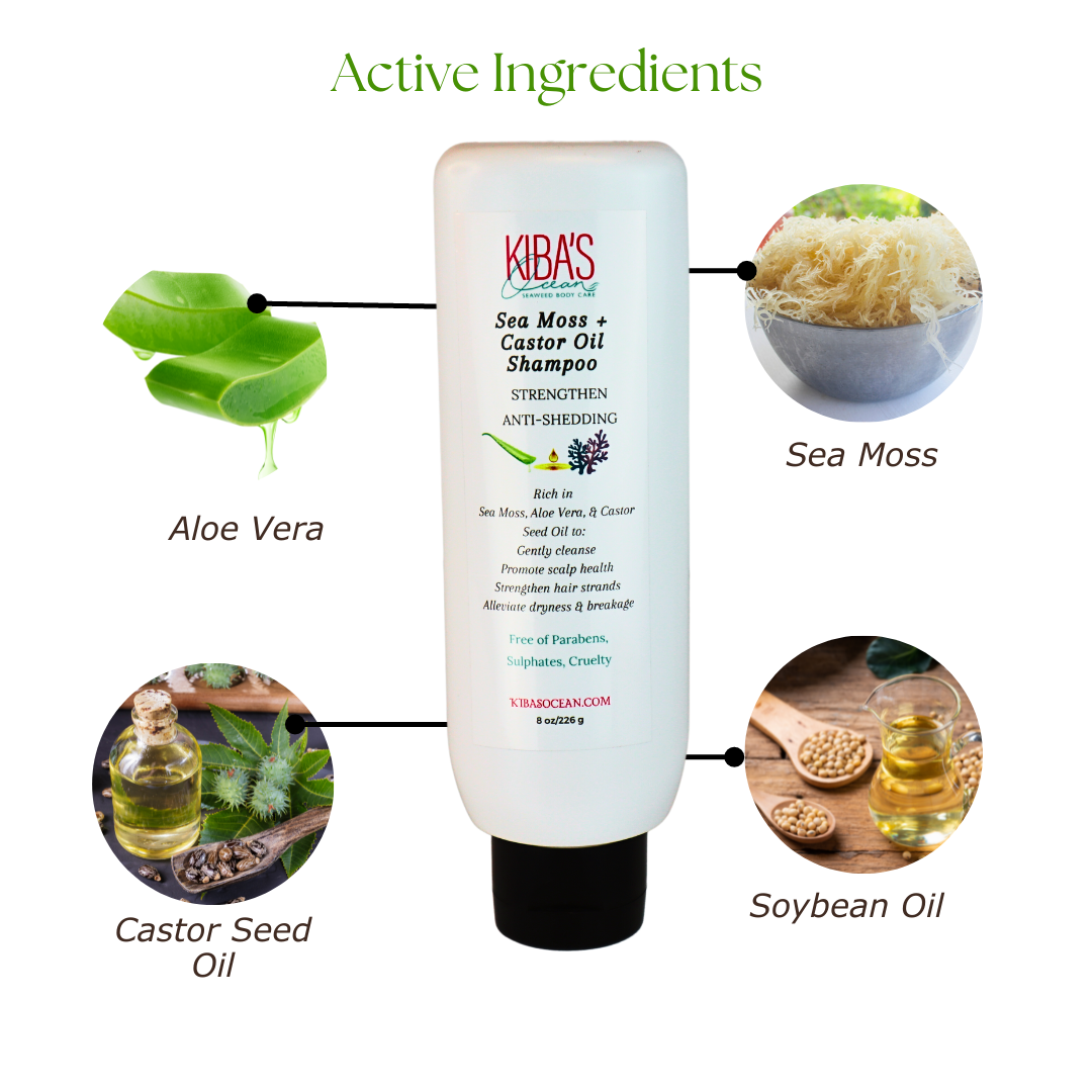Sea Moss + Castor Oil Shampoo