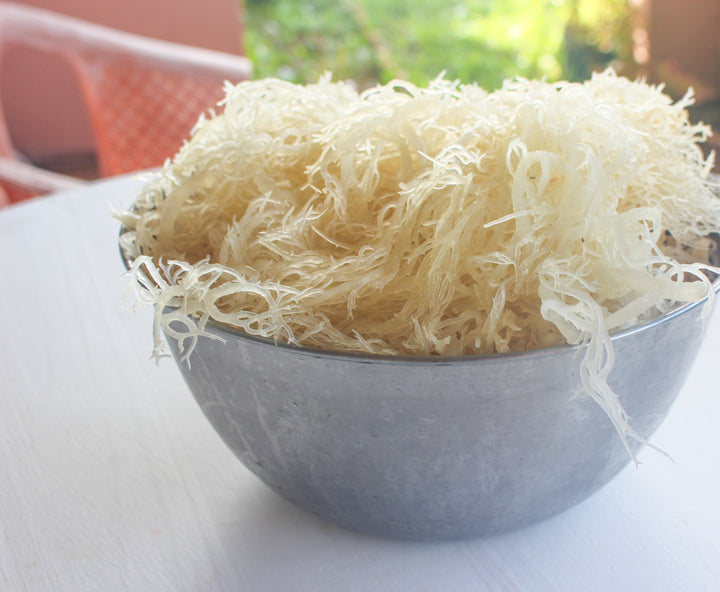 Wholesale 12 Pack Sea Moss, 2 oz