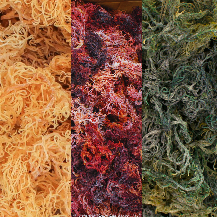 Wholesale Dried Bulk