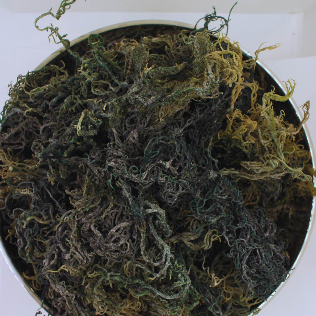 Wholesale Dried Bulk