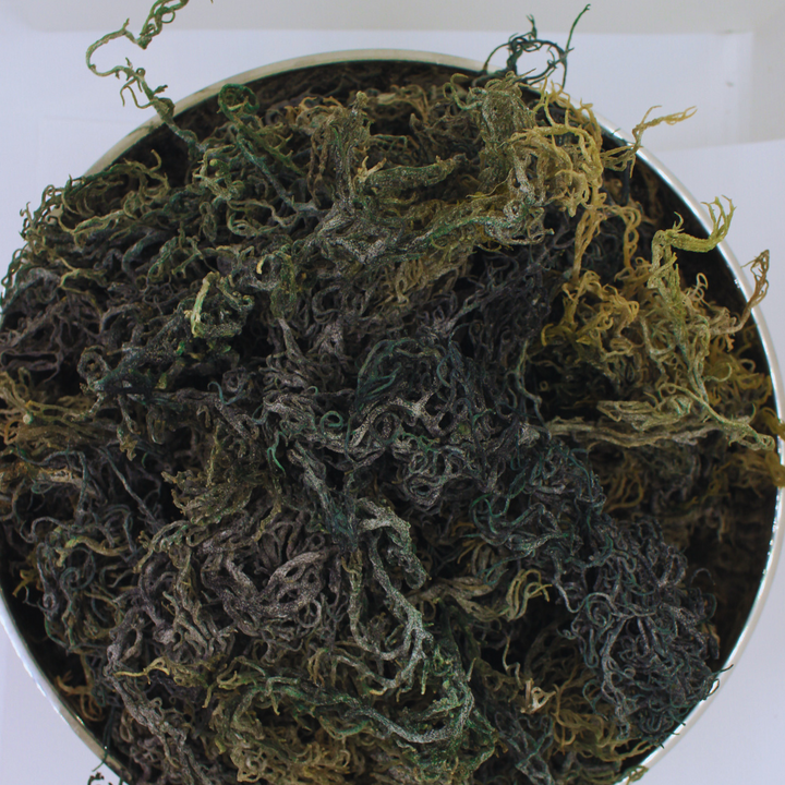 Wholesale Dried Bulk