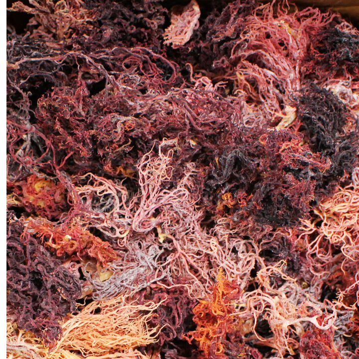Wholesale Dried Bulk