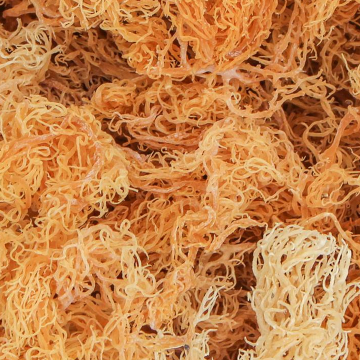Wholesale Dried Bulk
