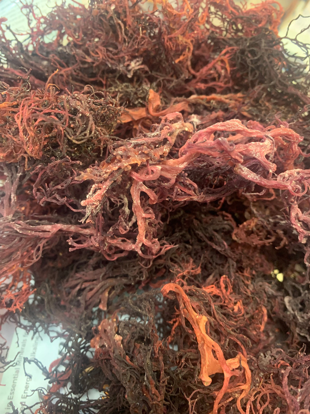 Wholesale 12 Pack Sea Moss, 2 oz